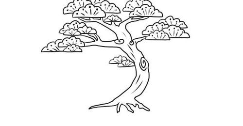 手绘图松树简笔画怎么画 简单又漂亮松树简笔画步骤教学