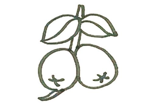 手绘好看枇杷简笔画画法图解 带颜色枇杷简笔画怎么画