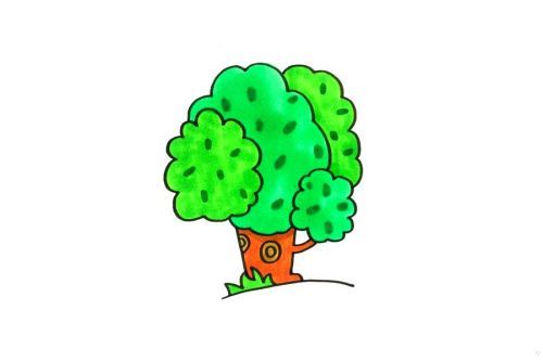 带颜色大树简笔画图片大全 简单又好看大树简笔画怎么画