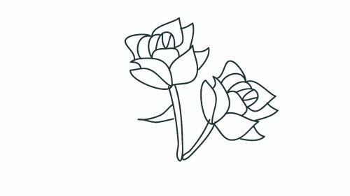 彩色幼儿园玫瑰花简笔画画法教程 简单漂亮玫瑰花简笔画怎么画