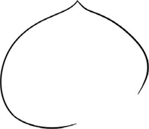 带颜色桃子简笔画儿童画教程 彩色可爱桃子简笔画图片大全