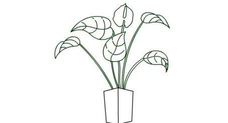 带颜色红烛花简笔画怎么画 简单好看红烛花简笔画教程
