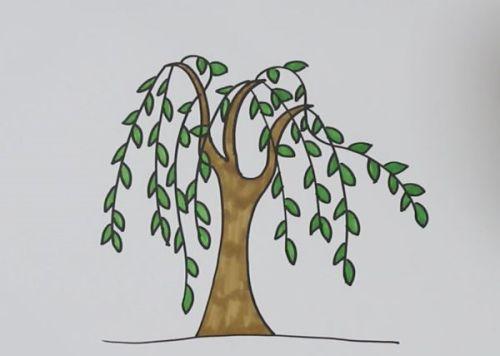 带颜色柳树简笔画图片大全 卡通柳树简笔画怎么画