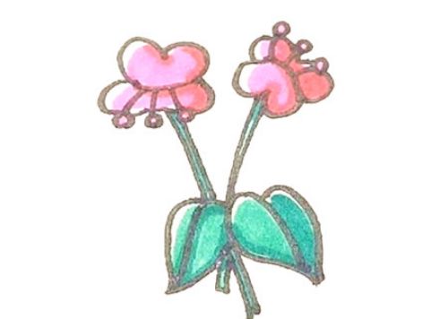 漂亮彩色风铃花简笔画怎么画 带有颜色风铃花简笔画教学
