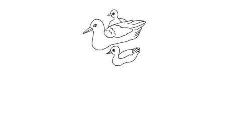 彩色鸭子简笔画教程 可爱呆萌鸭子简笔画怎么画