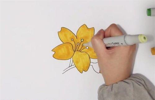 带颜色迎春花简笔画图片大全 简单又漂亮迎春花简笔画怎么画