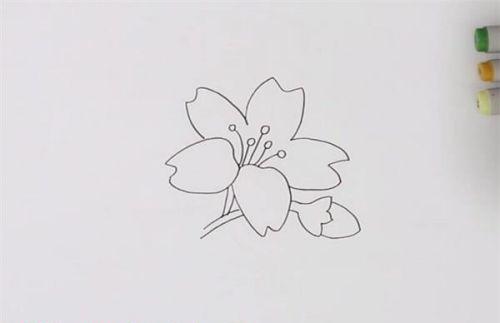 带颜色迎春花简笔画图片大全 简单又漂亮迎春花简笔画怎么画