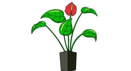 带颜色红烛花简笔画怎么画 简单好看红烛花简笔画教程