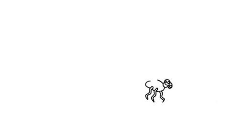 彩色涂色蜻蜓简笔画怎么画 简单又漂亮蜻蜓简笔画画法图解