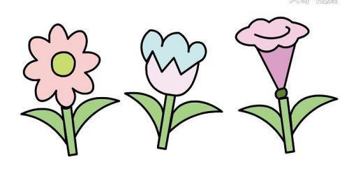 彩色漂亮花朵简笔画怎么画 简单又好看花朵简笔画教学带步骤