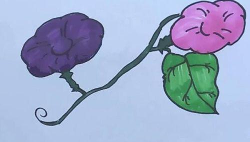 彩色涂色牵牛花简笔画步骤教学 简单又漂亮牵牛花简笔画怎么画