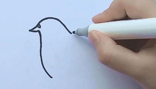 幼儿彩色鸽子简笔画怎么画 简单漂亮鸽子简笔画带步骤教程