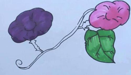 彩色涂色牵牛花简笔画步骤教学 简单又漂亮牵牛花简笔画怎么画