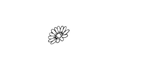 带颜色小雏菊简笔画画法图解 手绘彩色小雏菊简笔画怎么画