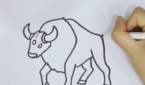 可爱彩色黄牛简笔画一步一步画法 带颜色黄牛简笔画怎么画