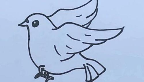 幼儿彩色鸽子简笔画怎么画 简单漂亮鸽子简笔画带步骤教程