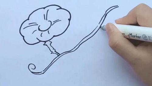 彩色涂色牵牛花简笔画步骤教学 简单又漂亮牵牛花简笔画怎么画