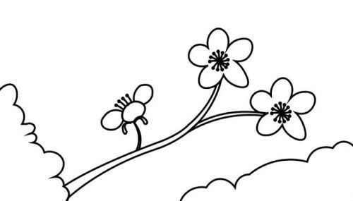 古风彩色桃花简笔画怎么画 简单又好看桃花简笔画画法图解
