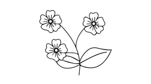 带花纹花盆简笔画怎么画 带颜色的花盆和花儿童简笔画画法图解