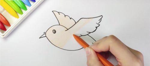 彩色卡通子简笔画怎么画 简单漂亮鸽子简笔画步骤图解