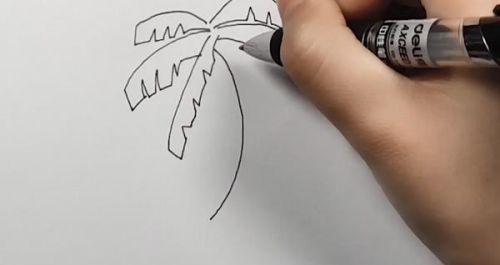 彩色带颜色椰子树简笔画怎么画 海边椰子树简笔画教程图解-素描自学网 彩色带颜色椰子树简笔画怎么画 海边椰子树简笔画教程图解