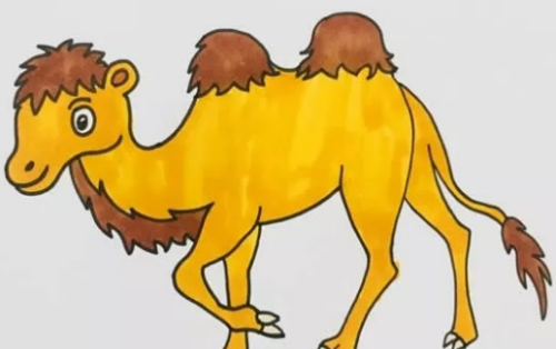 可爱沙漠骆驼简笔画儿童画怎么画 简单彩色骆驼简笔画教程画法
