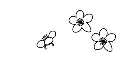 古风彩色桃花简笔画怎么画 简单又好看桃花简笔画画法图解