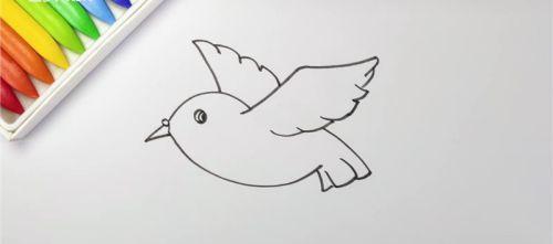 彩色卡通子简笔画怎么画 简单漂亮鸽子简笔画步骤图解