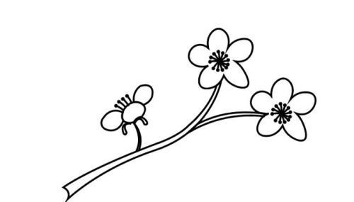 古风彩色桃花简笔画怎么画 简单又好看桃花简笔画画法图解