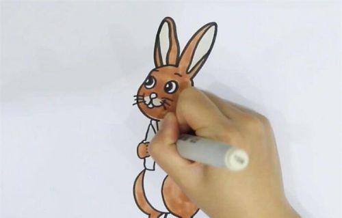 卡通简单彼得兔简笔画怎么画 彩色彼得兔简笔画儿童画画法带步骤
