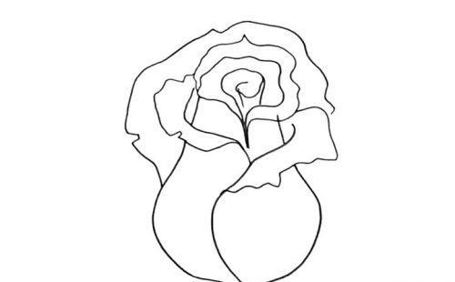 简单漂亮玫瑰花简笔画怎么画 彩色一朵玫瑰花简笔画带步骤画法