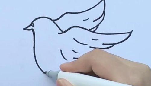 幼儿彩色鸽子简笔画怎么画 简单漂亮鸽子简笔画带步骤教程
